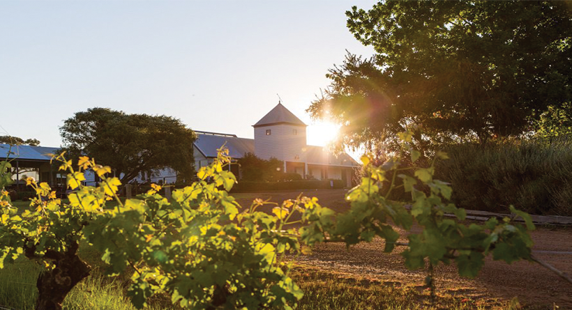 Hay Shed Hill Margaret River cellar door | Halliday Wine Companion